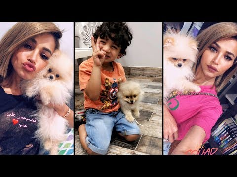 شاهد نهى نبيل تكشف عن زوجة لكلبها