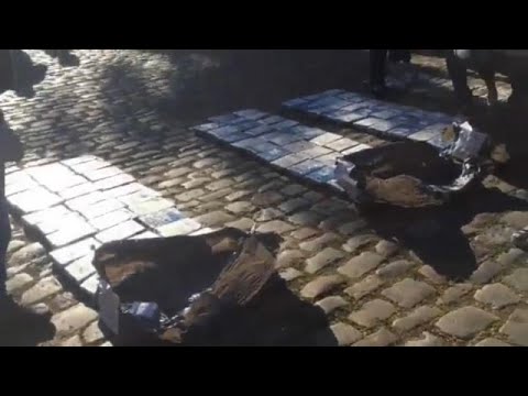 الشرطة الأرجنتينية تحرق كمية كبيرة من الكوكايين صادرتها من السفارة الروسية