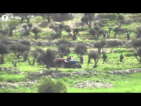 شاهد المستوطنون يعتدون بالضرب على الفلسطينيين