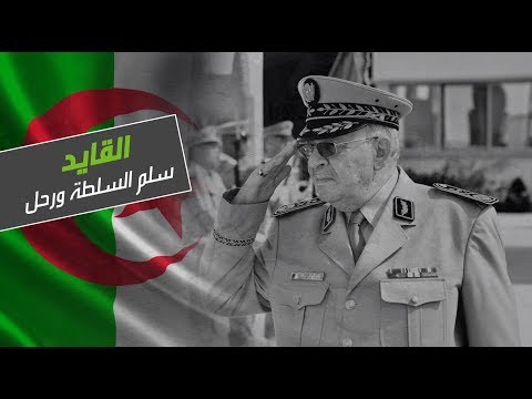 شاهد القايد يؤكد أنه لا يقبل إلا أن تنفذ الأوامر بحذافيرها