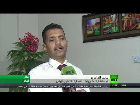 المجلس الانتقالي يسلم الأموال إلى قيادة التحالف