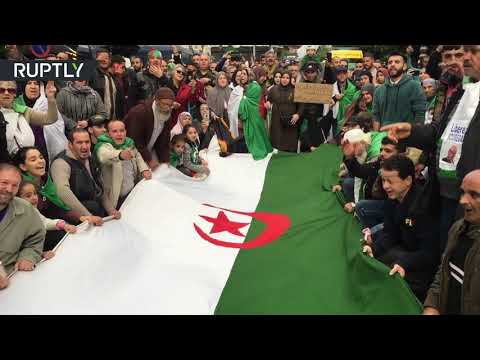 الجزائريون يستمرون في الاحتجاج للجمعة الـ44
