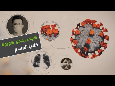 كيف يخدع كورونا خلايا الجسم ‏