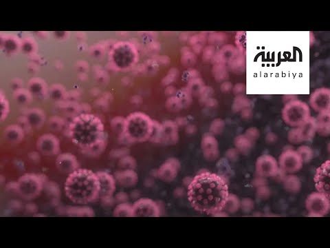 توقعات بموجة ثانية أكثر شراسة من فيروس كورونا في الشتاء المُقبل