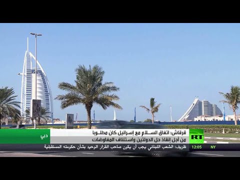 الإمارات تؤكد أن اتفاق السلام مع إسرائيل أنقذ حل الدولتين
