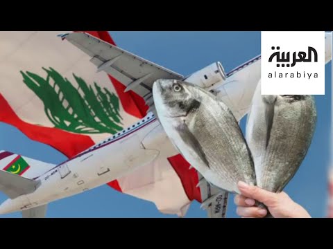 جدل في لبنان حول مصير مساعدة الشاي السيلاني والإجابة صادمة