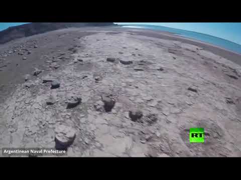 العثور على آثار ديناصور ذي قدمين في بحيرة الأرجنتين