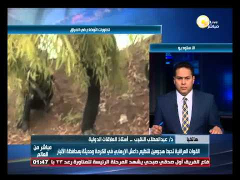 القوات العراقية تحبط هجومين لـداعش في الكرمة