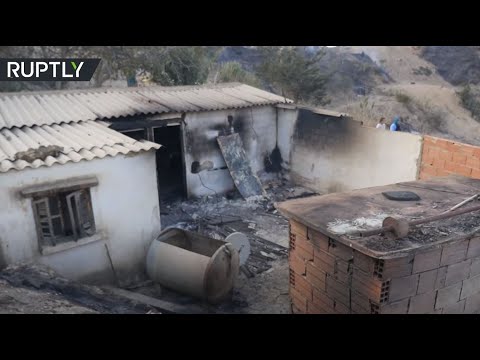 مصرع شخصين وإجلاء العشرات جراء حرائق الجزائر