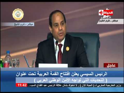 بالفيديو السيسي يؤكد أن مصر بيت العرب
