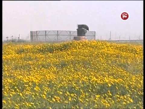 شاهد فلسطيني يؤكد تمسكه بأرضه ومقاومته لمحاولات الاستيطان