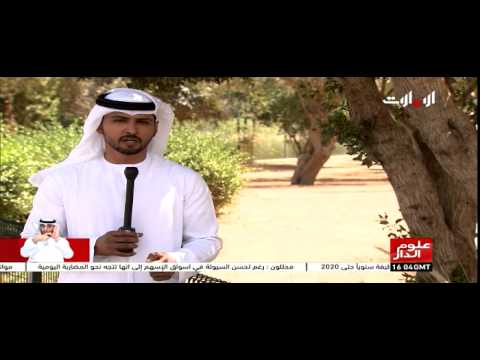 شاهد مبادرات متعددة ترفع التوطين إلى نسبة 80 