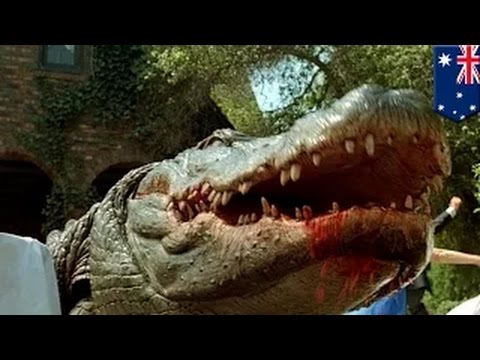 شاهد تمساح يلتهم ذراع مدربه