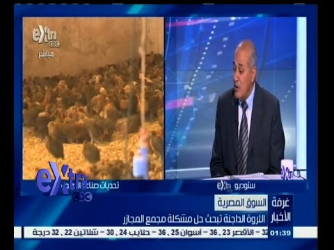 فيديو الثروة الداجنة تطالب بتفعيل قرار نقل المزارع