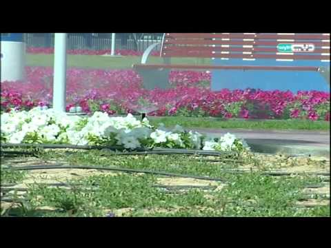 فيديو الخزان حديقة مستدامة في دبي صديقة للبيئة