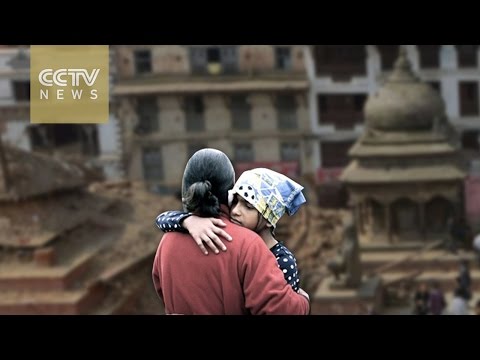 فيديو مصارعة عنيفة بين طائر وثعبان