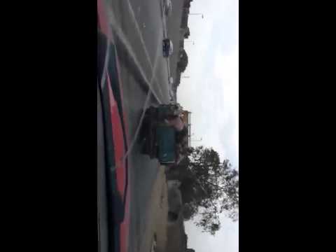 فيديو سيارة محمّلة بأكوام من العجول الحية