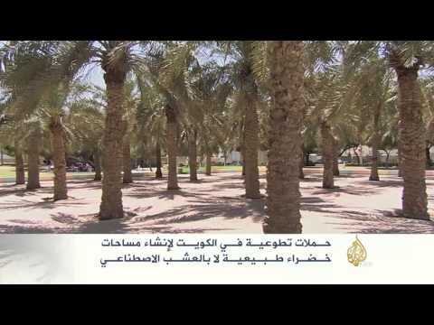 فيديو حملات تطوعية لتحويل الكويت إلى مساحات خضراء طبيعية