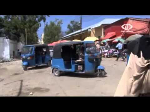 شاهد افتتاح شركة التكافل للتأمين