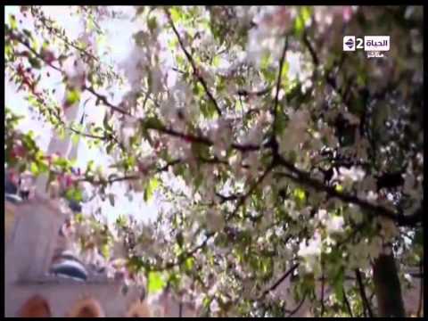 شاهد المبشرون بالجنة بصوت الفنان مدحت صالح