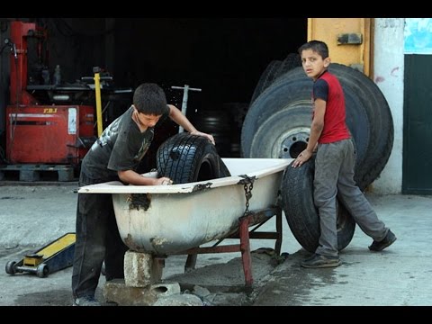 بالفيديو  الأطفال السوريون في ازدياد