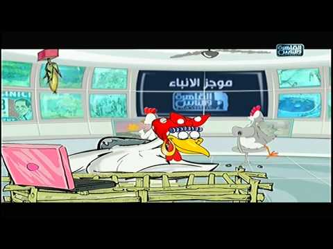 شاهد موجز أنباء الفراخ