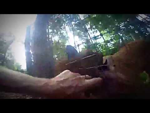 بالفيديو شاب يدخل يده في قفص أسود جبلية