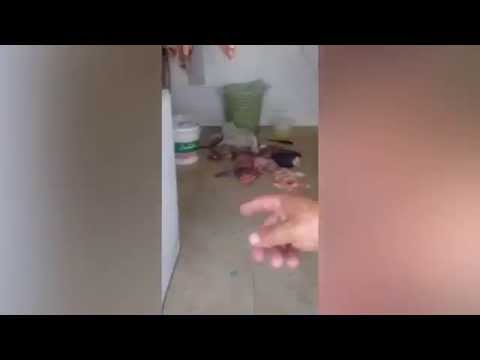 أوضح قيام عامل الملحمة بتجهيز اللحم على الأرض