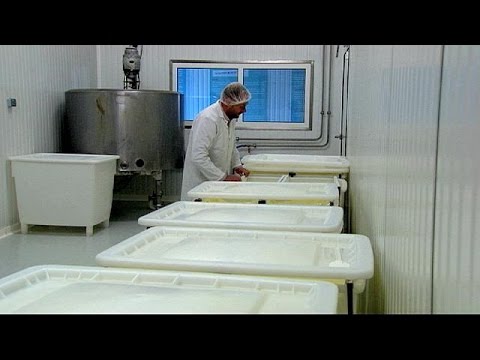 شاهد تحقيق داخل مزرعتين لإنتاج الحليب في فرنسا