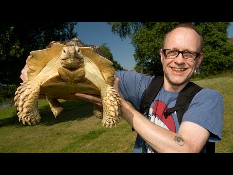 شاهد بريطانى يتمشى مع سلحفاته لخمس ساعات يوميًا