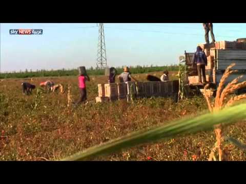 شاهد سورية تعاني زيادة التصحر