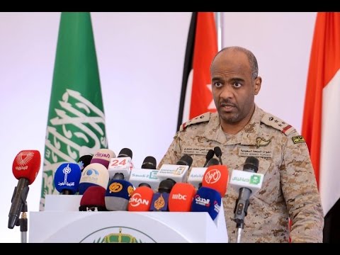 عسيري تحرير ذباب مهم للتحالف