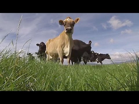 شاهد جهاز يساهم في تطوير كيفية قياس المزارعين لكمية نباتات الرعي لماشيتهم