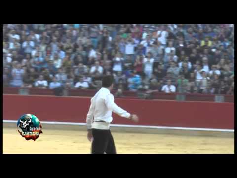 شاهد ثور غاضب يخلع بنطلون رجل