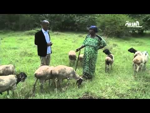 بالفيديو فيضانات تعم في مدن الصومال