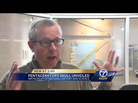 علماء الحفريات يكشفون عن أول جمجمة لطفل الديناصور