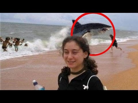 شاهد أغرب قصص النجاة من هجوم القرش على البشر