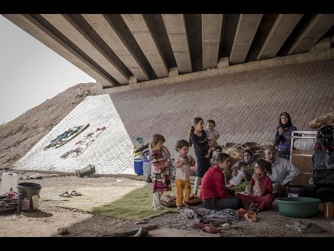 شاهددور العرب السنة في تحرير الإيزيديات