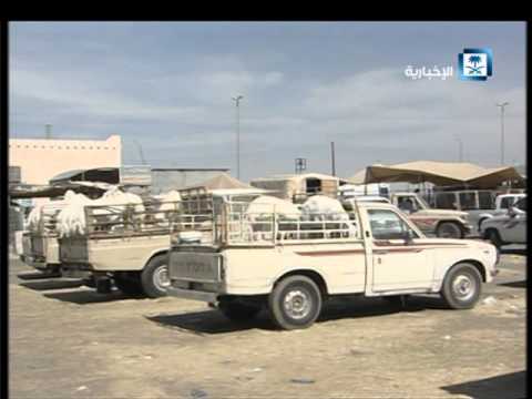 بالفيديو مكان لبيع الأمراض أمام أعين البلدية