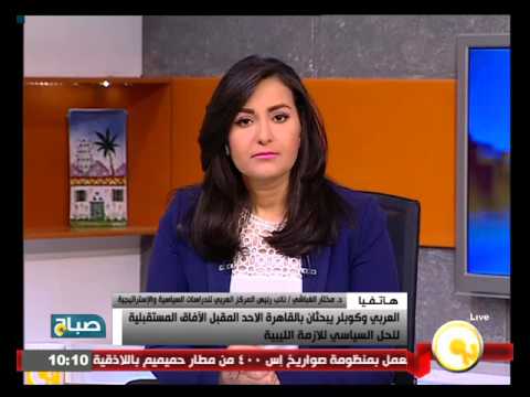 غباشي يؤكد أن زيارة كوبلر للقاهرة مهمة لقراءة المشهد المصري