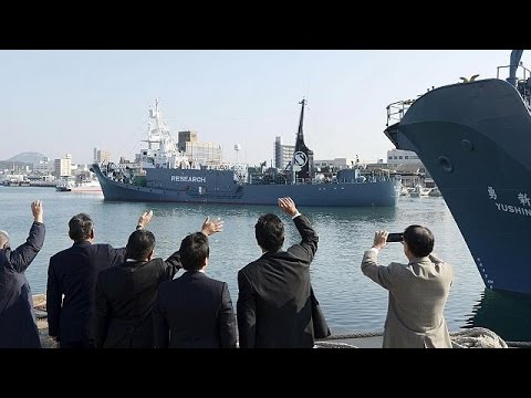 شاهد اليابان تستأنف صيد الحيتان في المحيط المتجمد