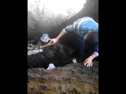 فيديو العثور على تمساح على أحد شواطئ المغرب