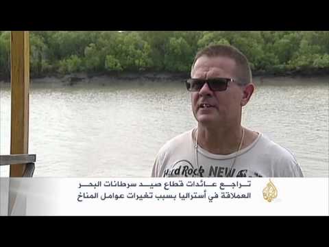 شاهد تأثر قطاع صيد سرطان البحر في أستراليا بالتغير المناخي