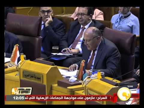 شكري يؤكد أن التدخل التركي في العراق انتهاك للسيادة