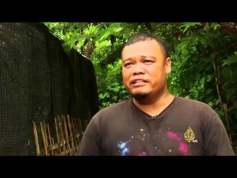 شاهد جمعية إندونيسية تدير مأوى لرعاية الحيوانات