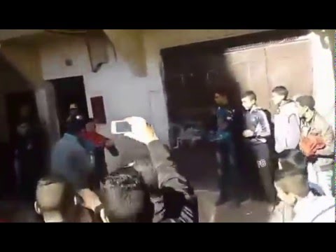 شاهدشجار على طريقة بدر هاري