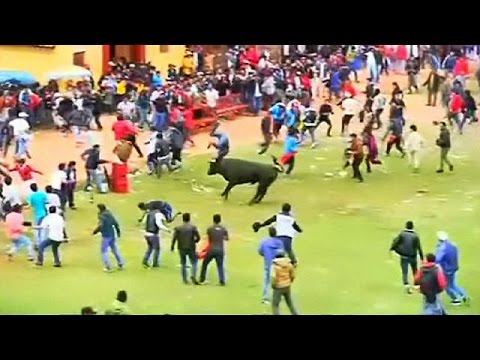 بالفيديو البيرو يؤكد إصابة 8 أشخاص في حفل سنوي لإطلاق الثيران