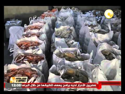 مجلس الأمن يرحب بإدخال مساعدات غذائية وطبية