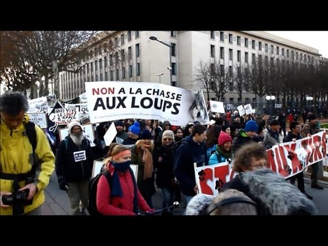 شاهدتظاهر أكثر من 2000 شخص في ليون