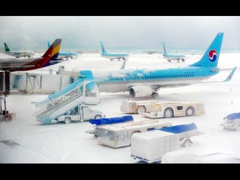 شاهد الثلوج تغلق مطار جزيرة جيجو في كوريا الجنوبية